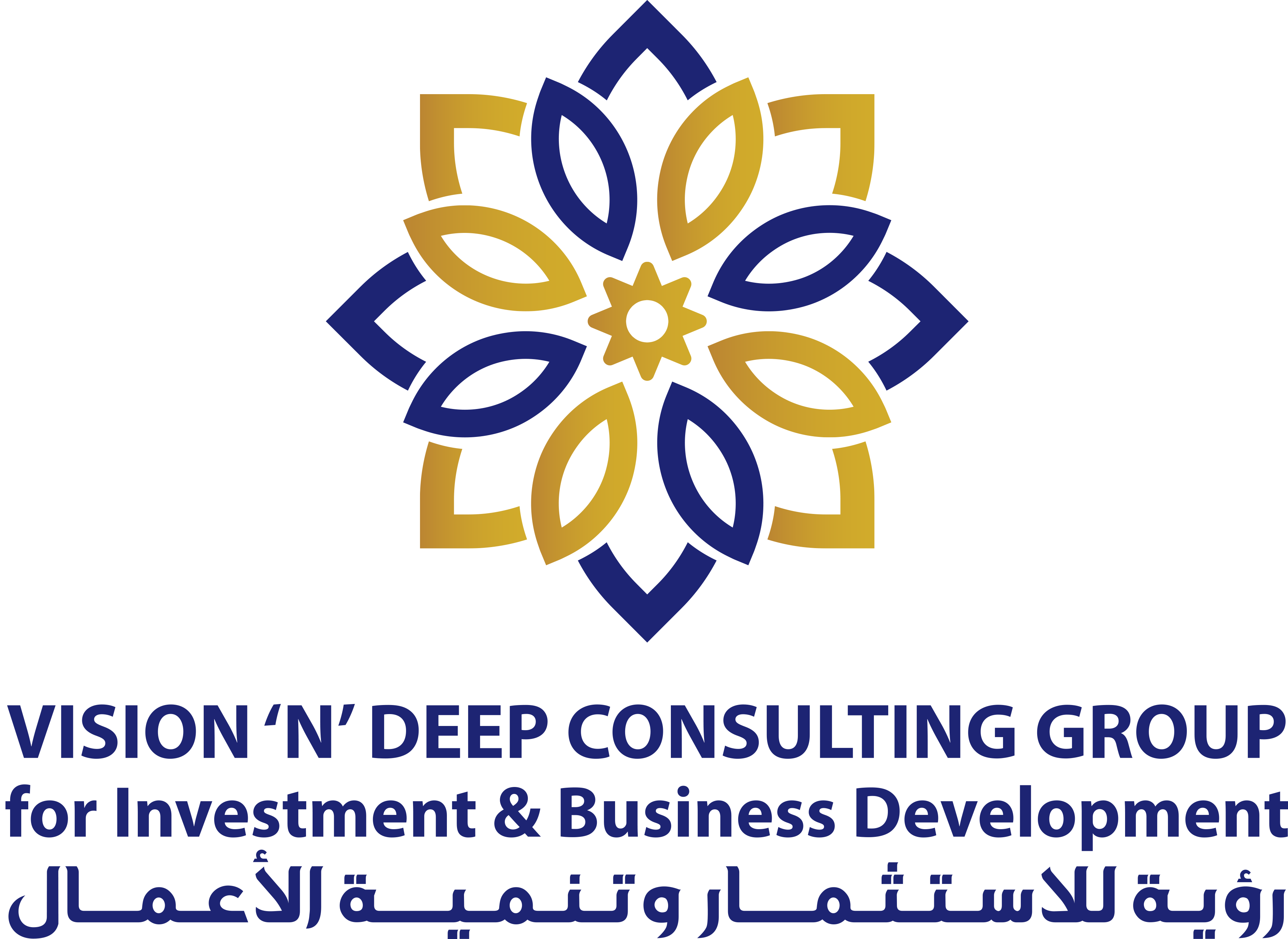 Vision n Deep full logo